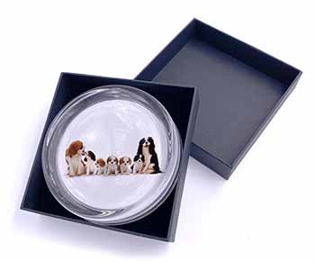 King Charles Spaniel Dogs Glass Paperweight in Gift Box