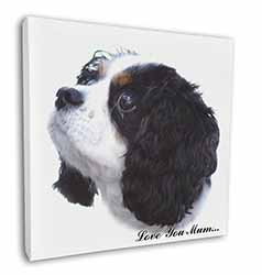 Tri King Charles Spaniel 