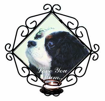 Tri King Charles Spaniel 