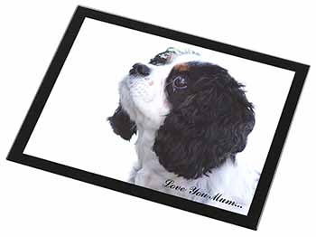 Tri King Charles Spaniel 