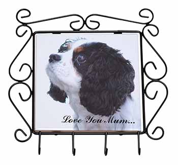 Tri King Charles Spaniel 