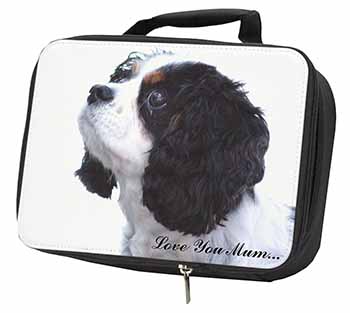 Tri King Charles Spaniel 