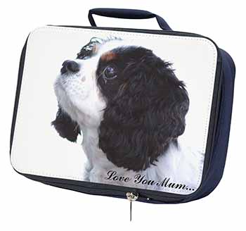 Tri King Charles Spaniel 