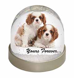 Blenheim King Charles Spaniels Snow Globe Photo Waterball