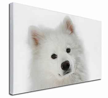 Samoyed Dog Canvas X-Large 30"x20" Wall Art Print