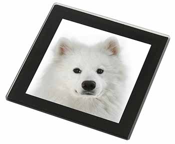 Samoyed Dog Black Rim High Quality Glass Coaster