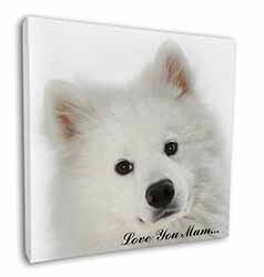 Samoyed Dog 