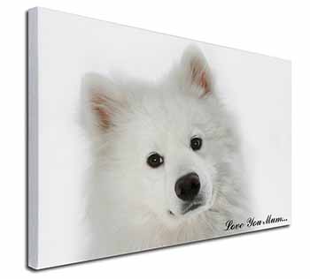 Samoyed Dog 