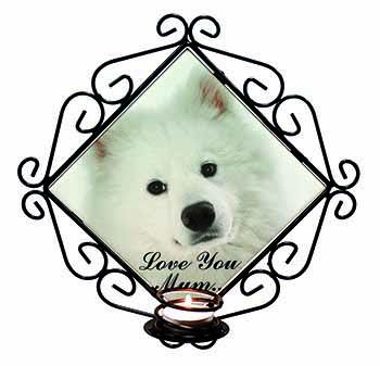 Samoyed Dog 