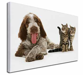 Italian Spinone Dog and Kittens Canvas X-Large 30"x20" Wall Art Print