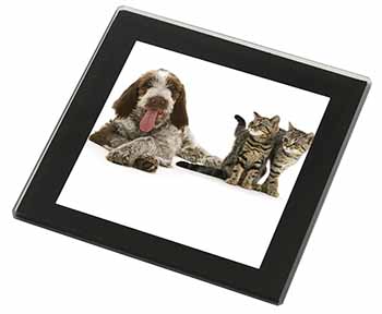 Italian Spinone Dog and Kittens Black Rim High Quality Glass Coaster