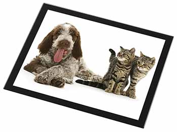 Italian Spinone Dog and Kittens Black Rim High Quality Glass Placemat