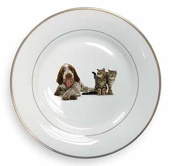 Italian Spinone Dog and Kittens Gold Rim Plate Printed Full Colour in Gift Box