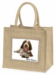 Italian Spinone Dog 