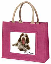 Italian Spinone Dog 