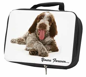 Italian Spinone Dog 