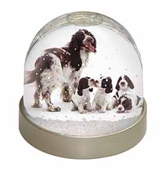 Springer Spaniel Dogs Snow Globe Photo Waterball