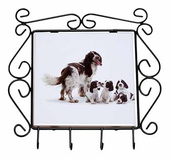 Springer Spaniel Dogs Wrought Iron Key Holder Hooks