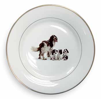 Springer Spaniel Dogs Gold Rim Plate Printed Full Colour in Gift Box