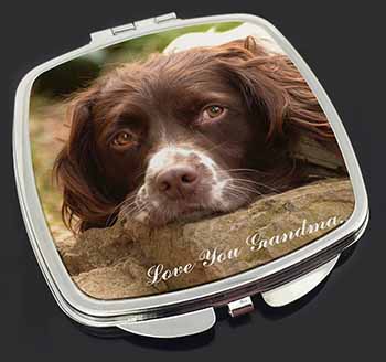 Springer Spaniel 