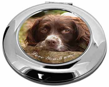 Springer Spaniel Dog 