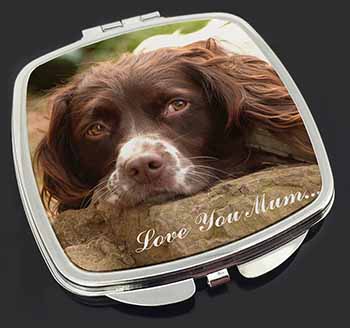 Springer Spaniel Dog 