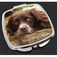 Springer Spaniel Dog 