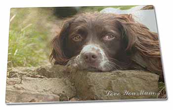 Large Glass Cutting Chopping Board Springer Spaniel Dog 