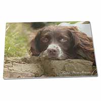 Large Glass Cutting Chopping Board Springer Spaniel Dog 