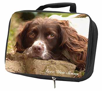 Springer Spaniel Dog 