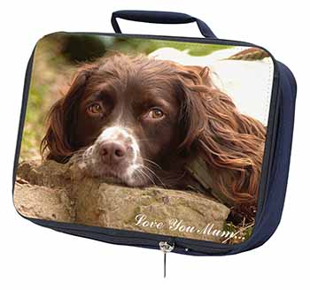 Springer Spaniel Dog 