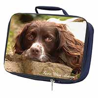 Springer Spaniel Dog 