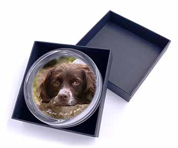 Springer Spaniel Dog 