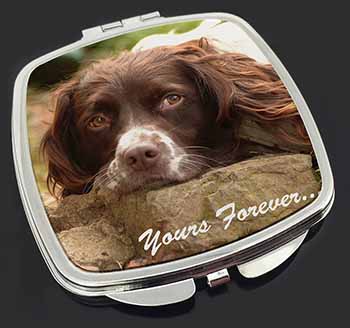 Springer Spaniel Dog 