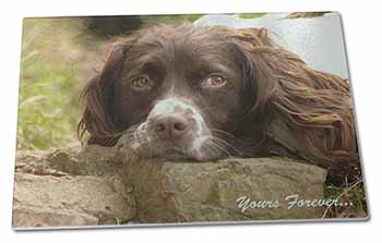 Large Glass Cutting Chopping Board Springer Spaniel Dog 