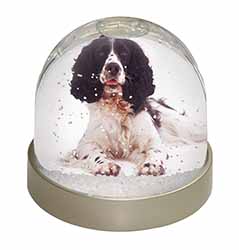 Black and White Springer Spaniel Snow Globe Photo Waterball