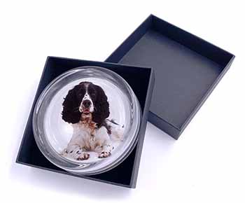 Black and White Springer Spaniel Glass Paperweight in Gift Box