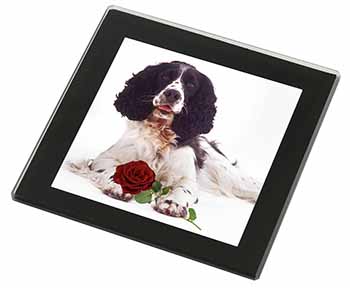 Springer Spaniel with Red Rose Black Rim High Quality Glass Coaster