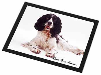 Springer Spaniel 