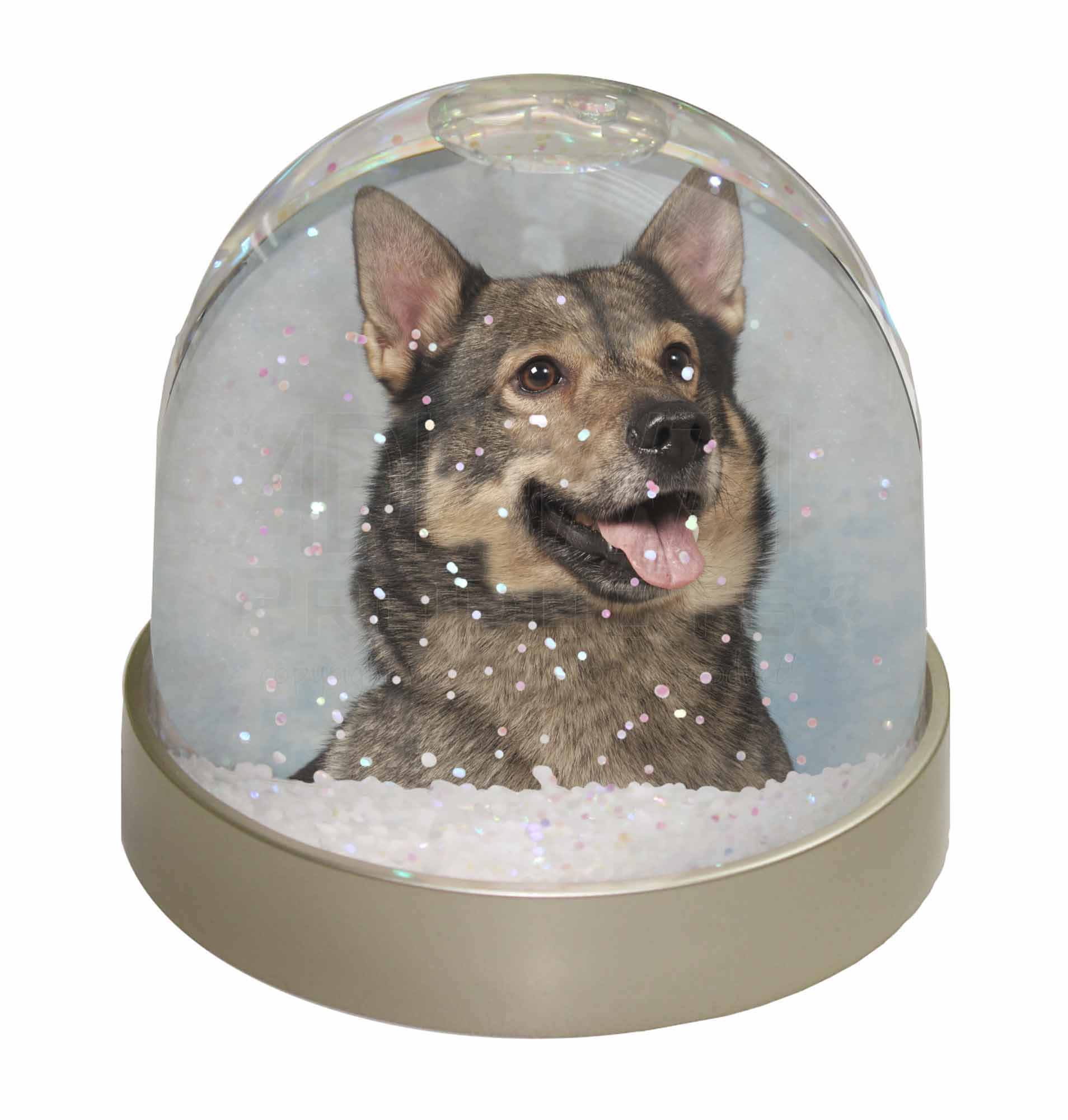 Sweedish Vallhund Dog Photo Snow Globe Waterball Stocking Filler Gift