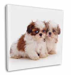 Shih-Tzu Dog Square Canvas 12"x12" Wall Art Picture Print