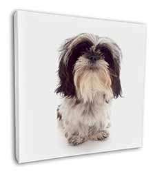 Shih-Tzu Dog Square Canvas 12"x12" Wall Art Picture Print