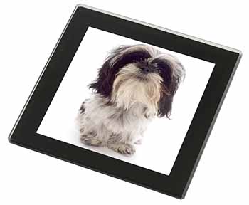 Shih-Tzu Dog Black Rim High Quality Glass Coaster