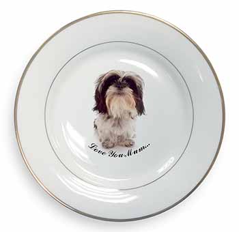 Shih-Tzu Dog 