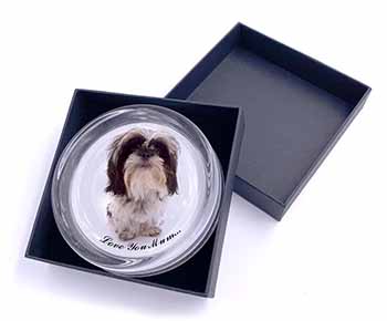 Shih-Tzu Dog 