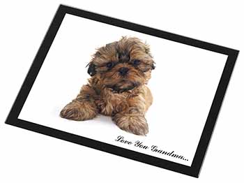 Shih-Tzu Dog 