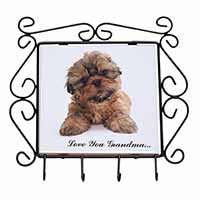 Shih-Tzu Dog 