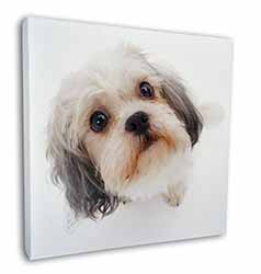 Cute Shih-Tzu Dog Square Canvas 12"x12" Wall Art Picture Print