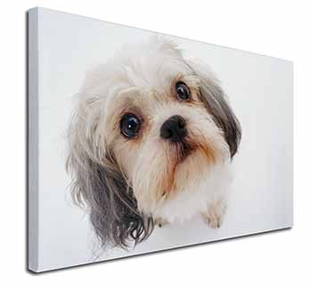 Cute Shih-Tzu Dog Canvas X-Large 30"x20" Wall Art Print