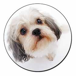 Cute Shih-Tzu Dog Fridge Magnet Printed Full Colour